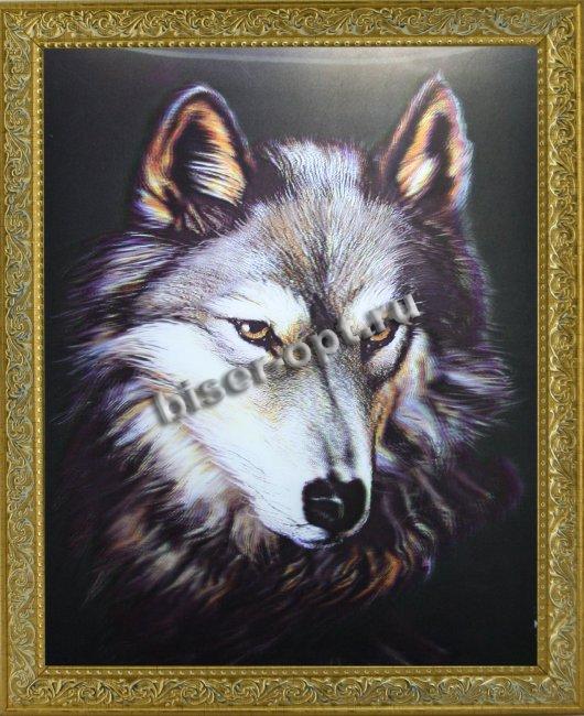 Картина 5D «Волк» 28*38см (1шт) цвет:12601