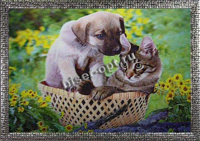 Картина 5D «Котик и щенок» (без рамки) 38*28см (1шт) цвет:14115Б