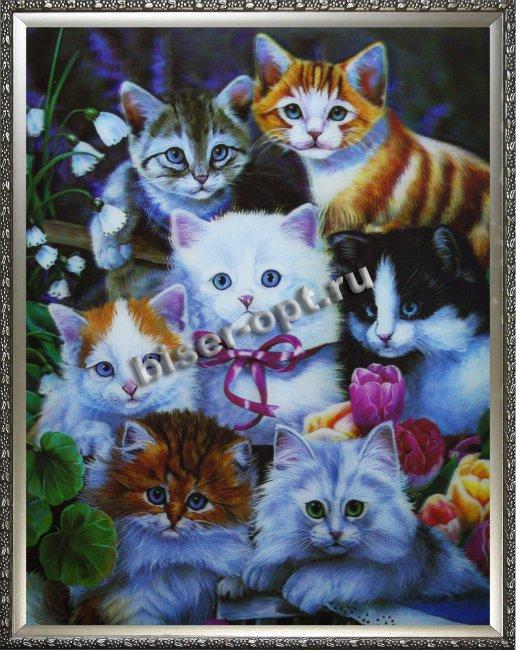 Картина 5D «Семеро котят» (без рамки) 28*38см (1шт) цвет:14179Б
