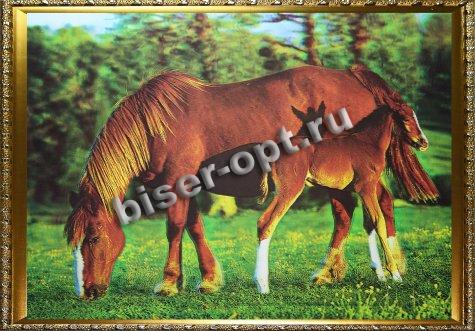 Картина 5D «Лошади на лугу» (без рамки) 38*28см (1шт) цвет:14173Б
