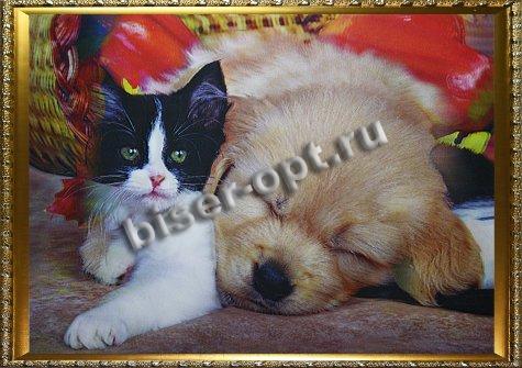 Картина 5D «Котенок и щенок» (без рамки) 38*28см (1шт) цвет:14198Б