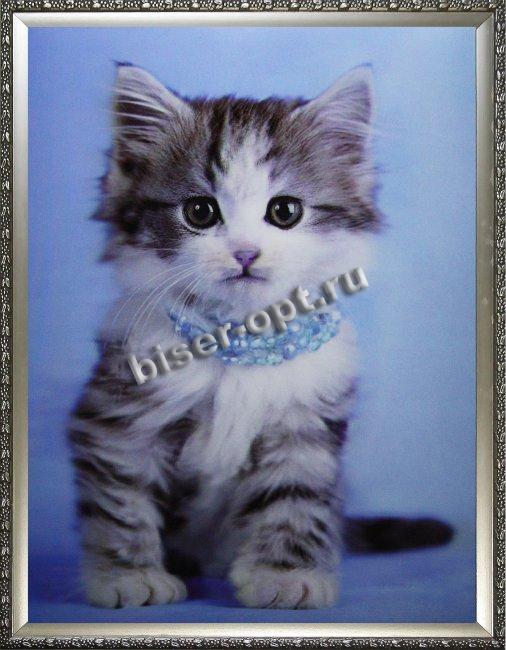 Картина 5D «Котенок в бусах» (без рамки) 28*38см (1шт) цвет:14197Б