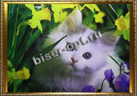 Картина 5D «Котенок в цветах» 38*28см (1шт) цвет:14167