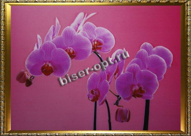 Картина 5D «Орхидеи» 38*28см (1шт) цвет:14192