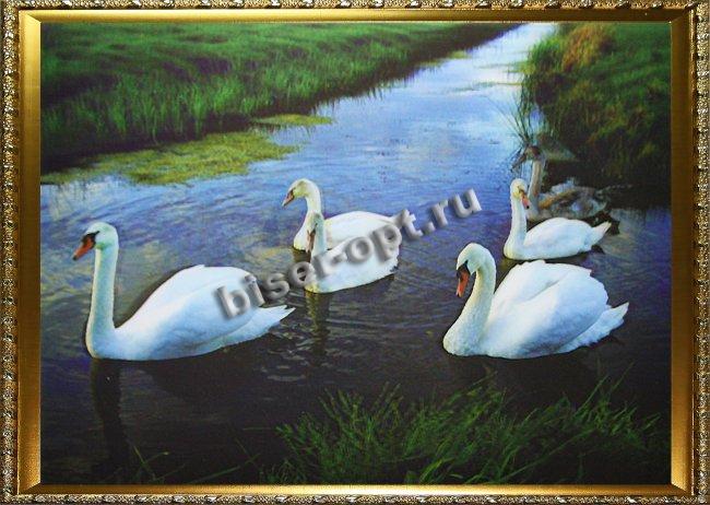 Картина 5D «Лебеди» 38*28см (1шт) цвет:14101