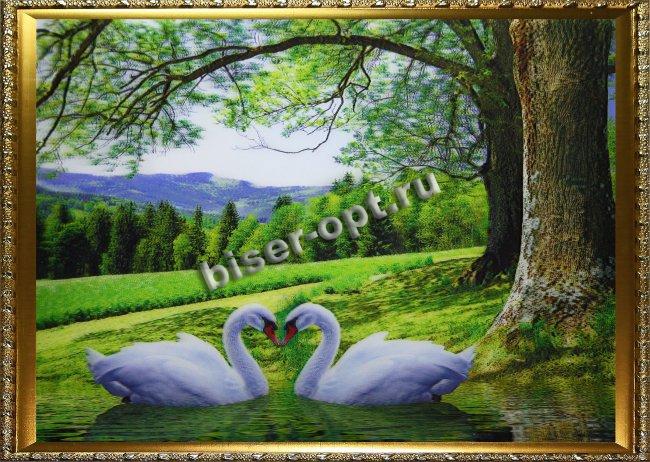 Картина 5D «Пара лебедей» 38*28см (1шт) цвет:14108