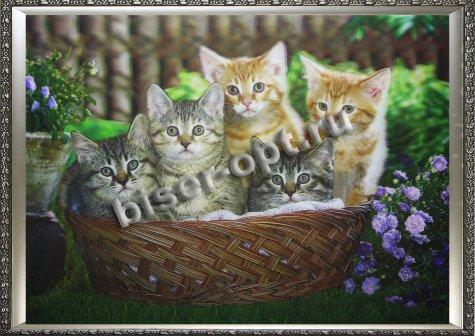 Картина 5D «Котята в корзине» 38*28см (1шт) цвет:14149