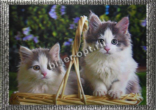 Картина 5D «Котята в корзинке» 38*28см (1шт) цвет:14175
