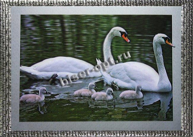Картина 5D «Лебеди» 38*28см (1шт) цвет:14126