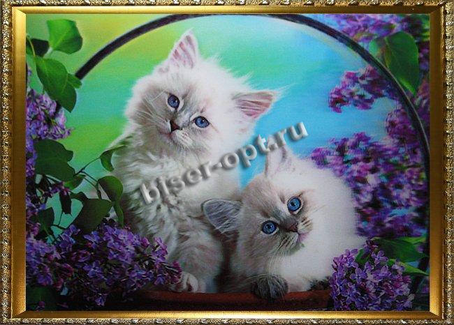 Картина 5D «Котята в сирени» 38*28см (1шт) цвет:14143