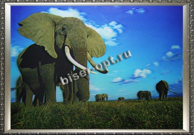 Картина 5D «Слоны» 38*28см (1шт) цвет:14174