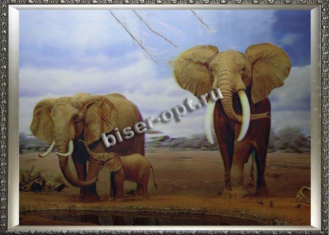 Картина 5D «Слоны»  38*28см (1шт) цвет:14270